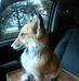 Victor Leverett - Facebook