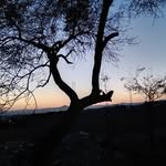 Victor Loera - @victor.loera.50115 - Instagram