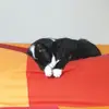 Victoria - @victorialorusso06 - TikTok