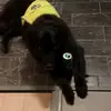 Victor_Lundin - @victor_lundin - TikTok