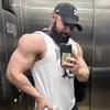 Victor Maia - @victorfmaia_ - TikTok