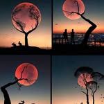 Victor Manzo - @lcmmmanzo - Instagram