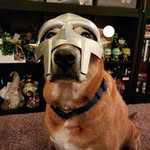 Victor Mauser - @mauservictor - Instagram