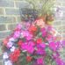 Victor Mayes - Facebook