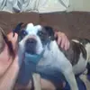 victormayle721 - @victormayle721 - TikTok