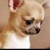 Victor Mbah - @victor.mbah4 - TikTok