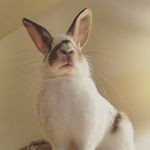 Victor McDade - @thedailymcdade - Instagram