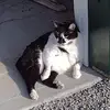 victormcelfresh - @victormcelfresh - TikTok