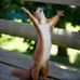Victor Mcgill - Facebook