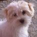 Victor Ivor Meier - Facebook