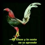victor melgar - @vic3443_victor.melgar - Instagram