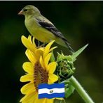 Victor Melgar - Facebook