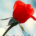 Victor Mohan - Facebook