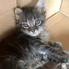 Victor Moretti - @victor.moretti7 - TikTok