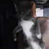 Victor noa - @victor.noa05 - TikTok
