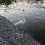 Victor Olivarez - @victor.olivarez.7311 - Instagram