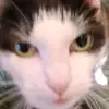 Victorr__ - @victorrrom - TikTok