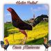 Victor Pellot - Facebook