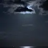 Victor Drejer - @victor.petersen14 - TikTok