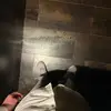 Victor Petersen - @victor.vep - TikTok