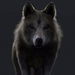 Victor Petit - @victorpetit6448 - Instagram
