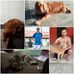 Victor Pinho - Facebook