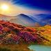 Victor Popescu - Facebook