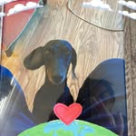 Victor Powell - @victorpowell8997 - Instagram