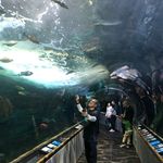 Victor Proano - @victor.proano.5205 - Instagram
