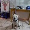 Victor Puerto - @victorpuerto4 - TikTok