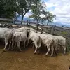 Victor Puerto - @victor.puerto78 - TikTok