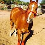 victor rascon - @rascon.victor - Instagram