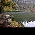 @victorreid - Instagram