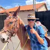 Victor Reis - @victorreis378 - TikTok