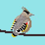 Victor Renaud - @a_regular_bird_life - Instagram