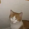 Robert Victor - @robert.victor72 - TikTok