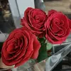 Vi Rosier - @victor_rosier - TikTok