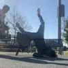 victor - @sambranovictor - TikTok