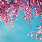 Victoria Sandblom - Facebook