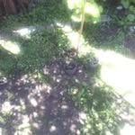 Victor Sasso - @sasso.victor - Instagram