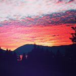 Victor - @victorsetton1234 - Instagram
