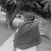 Victor Titus - Facebook