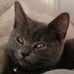 Victor Todor - Facebook