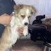 Victor Trillo - Facebook