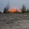 tacoDegelatina - @victortroll6 - TikTok