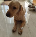 Victor Tur - Facebook