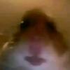 Victor - @victorhty - TikTok