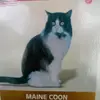 victor vallejo - @victor.vallejo327 - TikTok