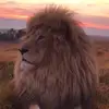 Victor Vallejo - @mrvictorvallejo - TikTok