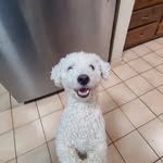 Victor Verde - @victor.verde.526 - Instagram